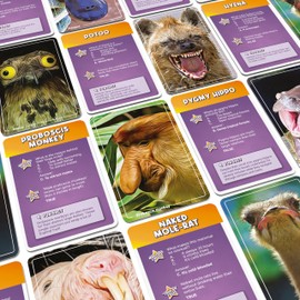 Bubblegum Stuff Ugly Animals – Hilarious and Educational Family Card Game Featuring 55 Weird and Wonderful Species – Trivia and Fun Facts Game for Kids and Adults – Ages 6+ – Great