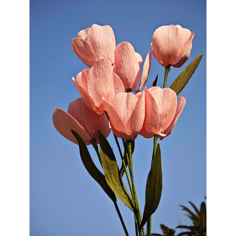Crepe Paper Tulip DIY Flower Making Kit 12 pcs (Pink)
