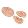 Silicone Ear Model Novice Simulated 3D Nose and Mouth Model