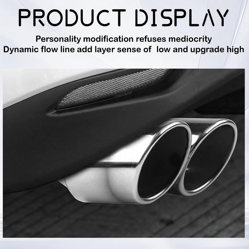 Stainless Steel Dual Exhaust Tip, 2.5" Inlet 2.4" Outlet Dual