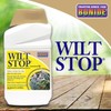 Bonide Wilt Stop, 32 oz Concentrated Anti-Transpirant Plant Protector, Long