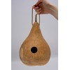 Gourd Birdhouse, Unfinished, Create Your Own Birdhouse