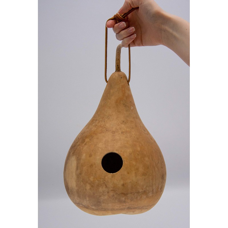 Gourd Birdhouse, Unfinished, Create Your Own Birdhouse