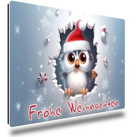 TRIOSK Christmas Magnets 3D Illusion Fridge Magnet Owl with Saying Merry Christmas Owls Magnet Owl Motif Gift Funny for Owl Lovers Fridge Strong Large 85 x 55 mm