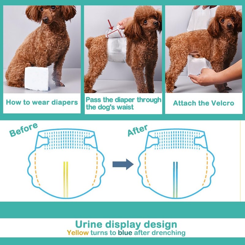 BPS BPS-2218 Male Dog Pet Hygiene Pants 3 Sizes to