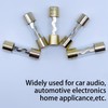 100A AGU Gold Plated Glass Fuse 100 Amp Car Audio
