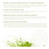 Té Verde Matcha Nice Imperial 28 Sobres 84g.