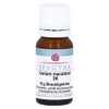 CONIUM Maculatum D 6 Globules 10 g
