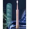 AJELU Sonic Electric Toothbrush for Adults, USB Rechargeable Sonic Toothbrush