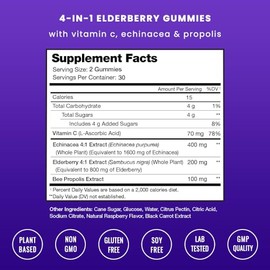 NutraChamps Elderberry Gummies with Vitamin C, Propolis & Echinacea - Immune System Support Gummy Vitamins for Adults & Kids - Max Strength 200mg Samb