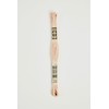 DMC Thread 6-Strand Embroidery Cotton 8.7 Yards Light Peach 117-754