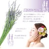 Sin. Essential Oil Natural 100% Genuine Lavender Oil, 16.9 fl