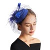 DRESHOW Fascinator Hats for Women Pillbox Hat with Veil Headband