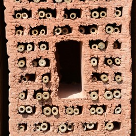 POPETPOP 100 Pcs 6 Inches Mason Bee Tubes - Bee House Bee Hive for Pollinating Bees, Garden Pollinator Bee House Nest Tubes, Replacement Nesting Tube Refill Inserts Bee Tubes