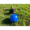 norrun Dog Ball Dog Toy Anti-Stress Ball Also Suitable for