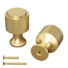 TKWINKT 4 Pack Gold Cabinet Knobs Zinc Alloy Dresser Knobs