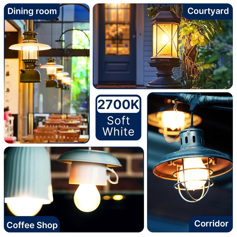 FLSNT 100W Equivalent A19 LED Light Bulbs, Efficient 12W, 1600Lumens,