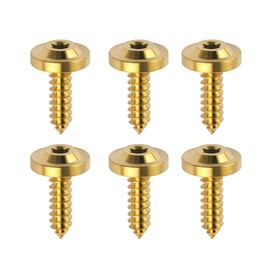 Dingtai Titanium M4 M5 M6 15 17 20 25mm Self Tapping Screw Torx Head Motorcycle Bolts Pack of 6 (Gold, M5x25mm)