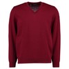 Maerz Men's V-Neck Long Sleeve Jumper, Red (495), Medium (Manufacturer