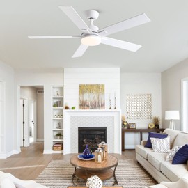 Rayqueen 52 Inch Ceiling Fans with Lights and Remote,White Ceiling Fan with 5 Dual Sided Blades,Downrod,6 Speed Reversible DC Motor,3CCT Dimmable LED,Modern Design For Indoor or Covered Outdoor