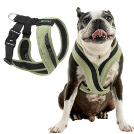 Gooby Comfort X One Dog Harness - Head-in Dog Harness for Small & Medium Sized Dogs - Escape-Free & Choke Free - Breathable Mesh, Shock Absorbing, Easy Snap & Swivel Buckles - Portland Green, X-Large
