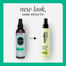 HASK Invigorating TEA TREE OIL 5-in-1 Leave In Conditioner Duo (6oz-Qty 2) & Deep Conditioner Packette, Aluminum-Free, Sulfate-Free, Paraben-Free, Color Safe, for All Hair Types