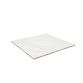 Daltile Florentine 24" X 24" Glazed Porcelain Floor Tile in Carrara (4 PC Per Carton) (15.2 SQFT Per Carton)