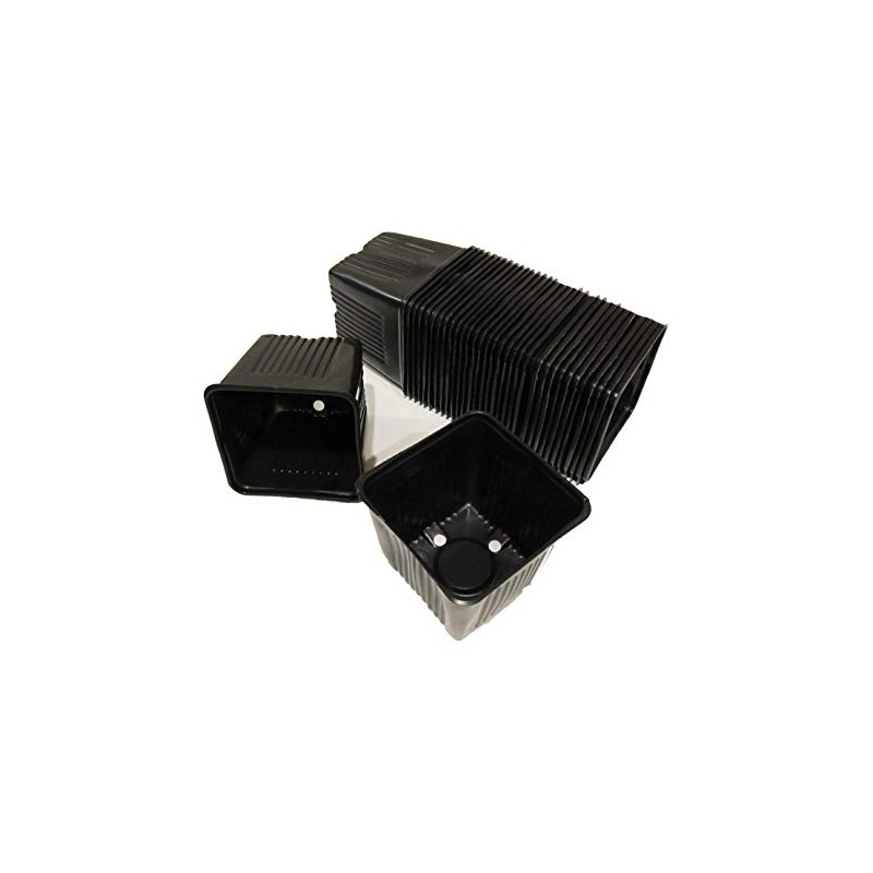 Gage Durapot Square Plastic Nursery Pots, 4" - Qty. 50