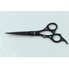 Pakden 6.5" Professional Hair Cutting Scissors – Japanese 440C Steel