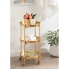 Kate and Laurel Celia Modern 3-Tier Bar Cart, 16 x