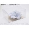 Kamakura Kogei Corsage Case, Set of 25, Transparent, Clear Gift