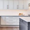 Amerdeco 10 Pack Brushed Satin Nickel and Gold Cabinet Pulls