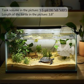 JJMOLLE Turtle Brush with Suction Cup, Turtle Toys for Aquatic Turtles Enrichment Toys, Small Turtle Brush for Turtle Aquarium Accessories, Aquatic Turtle Tank Accessories