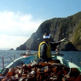 Hakodate Kichodo, 100% Game Kombu, Additive-Free Fine Powdered Powder, 3.5 oz (100 g) x 1