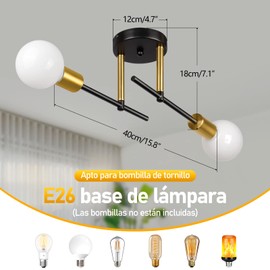 Lámpara de Techo Moderna 2 Luces Negro y Dorado, Iluminación De Techo Para Casa, Lámpara de Araña Vintage Luz Colgante de moderna para Cocina, Hogar