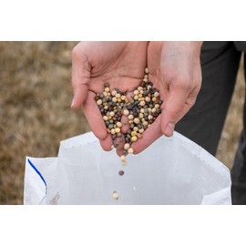 Crush Seeds of Science Food Plot Seed - Summer Crush 11lbs