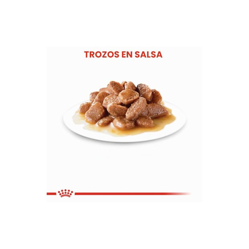 Royal Canin - Bolsa húmeda instantánea para adultos, 12 x