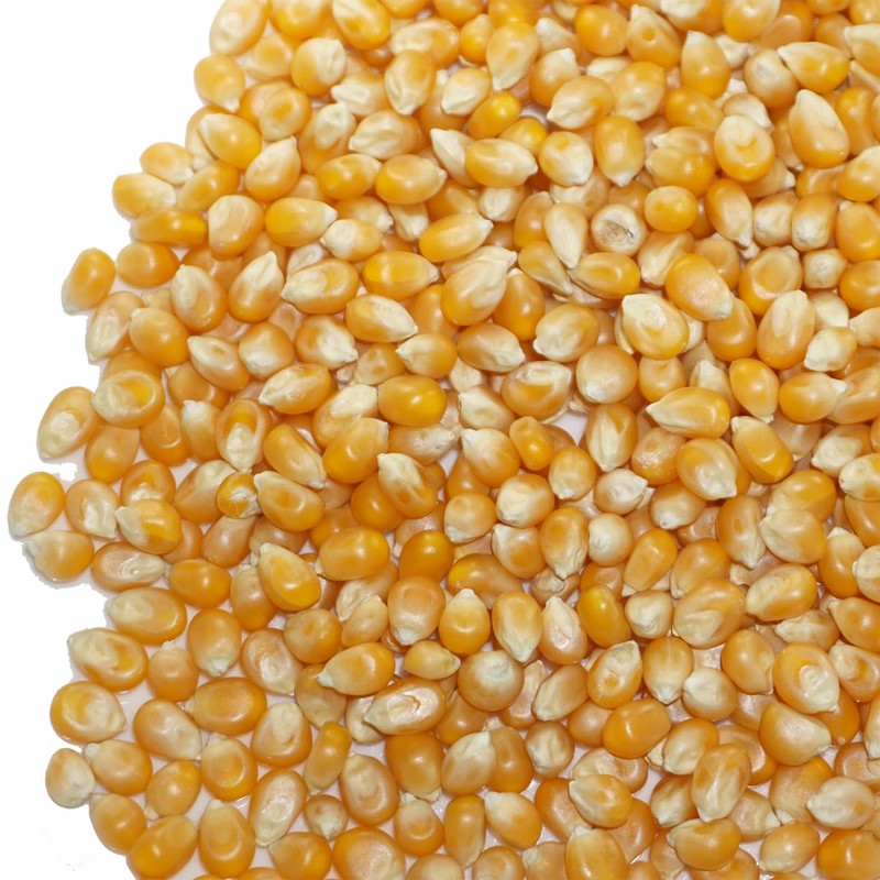 Popcorn, Ameyoko, Otsuya Popcorn Corn, Seeds, Popcorn (17.6 oz (500