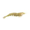 Z-Man EZSU-243PK4 Ez Shrimpz Unrigged 3.5" Greasy Prawn 4 Pack