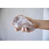 Spongeables Anti Cellulite Body Wash in a 20+ Wash Sponge,