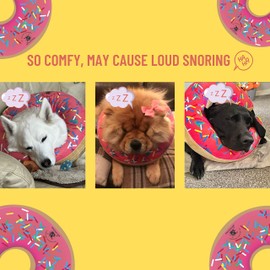 Dog Donut Collar | Alternative to Traditional or Soft Dog Cones | Inflatable Post-Surgery Cone for Medium Dogs (Pink)