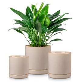 vancasso Ceramic Plant Pots, 3 Piece Planters for Indoor Plants, 4.25+5.25+6.25 Inch Flower Pots with Drainage, Plant Pots Indoor for Succulent, Pothos, Snake Plant and Money Tree, Etc (Gray)