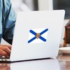 CafePress Nova Scotia Flag Rectangle Sticker Rectangle Bumper Sticker Car