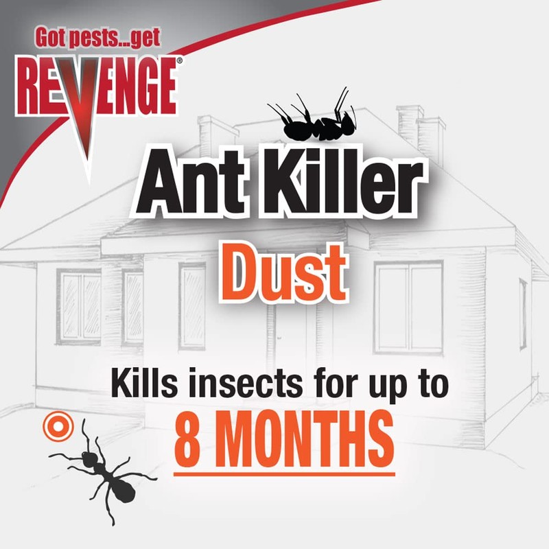 REVENGE Ant Killer Dust, 1 lb. Ready-to-Use Long Lasting and