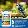 ADIOS! Bird Bath Cleaner for Outdoor Fountains and Bowls, Safely