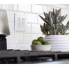 Legrand radiant 15 Amp Combination Switches, Rocker Wall Light Switch,