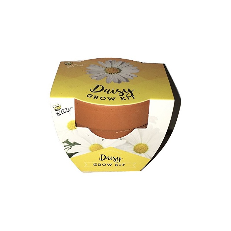 Buzzy Daisy Grow Kit