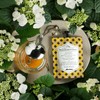 Davines The Renaissance Circle Mascarilla capilar reparadora 50 ml