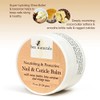 Nail & Cuticle Balm - Cocoa Butter & Beta Carotene