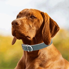 Robustes PU-Lederhalsband für Hunde, verstellbar und langlebig, ideal für Spaziergänge und Training mit Haustieren.